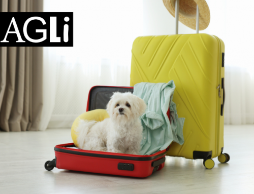 Hotel in Norden mit Hund: Entspannter Nordseeurlaub im AGLi Hotel