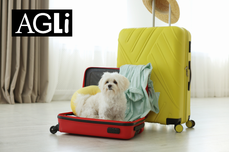 Hund im Hotel in Norden