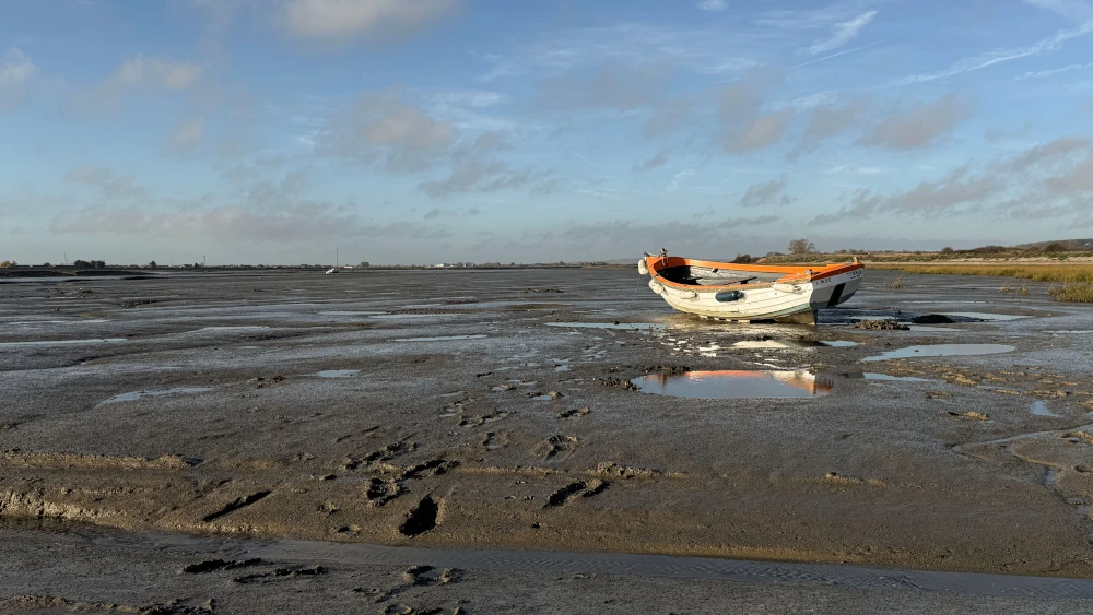 Ebbe und Flut erleben