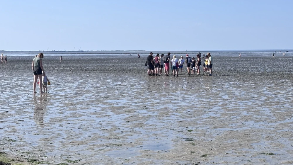 Wattenmeer