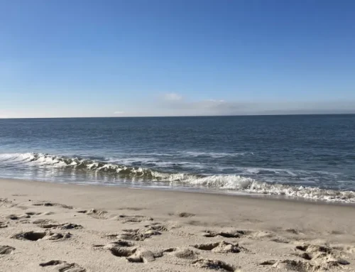Warum immer mehr Urlauber den Sommer an der Nordsee verbringen